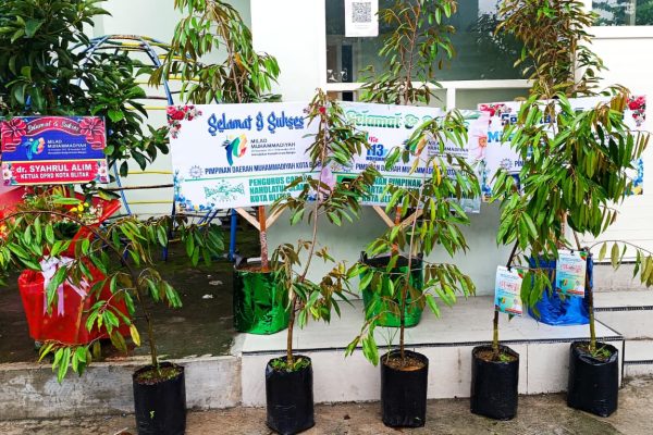 PDM Kota Blitar Banjir Kiriman Bibit Pohon Buah